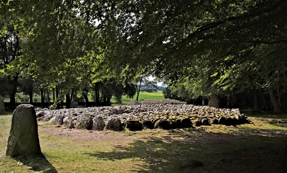 a large pile of rocks is surrounded by trees