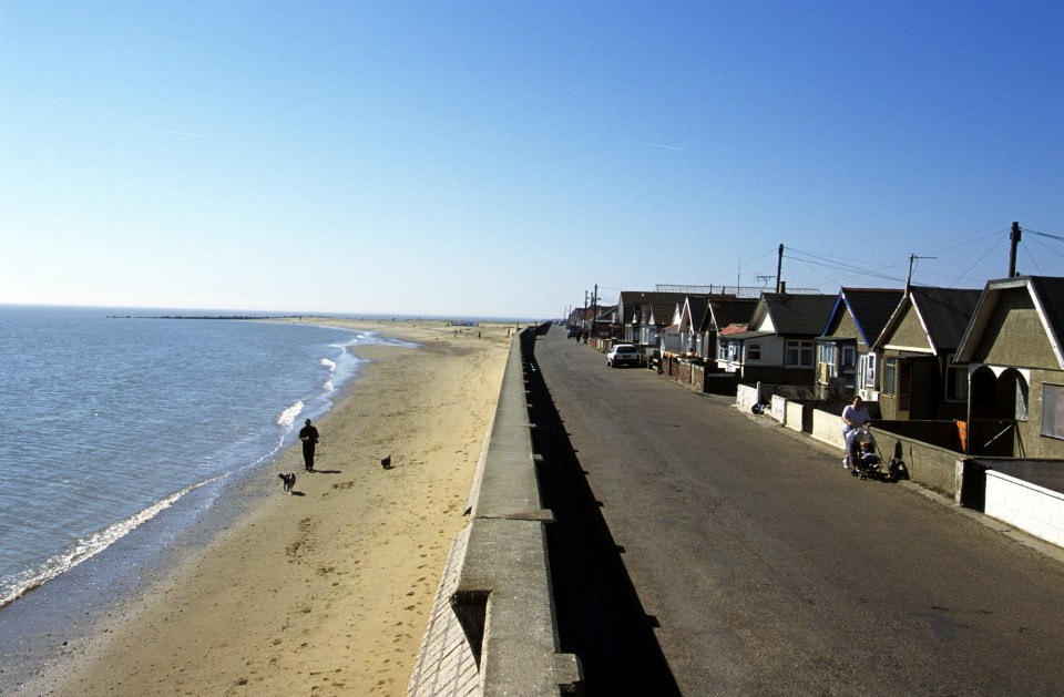a man walking a dog on the beach next to a row of houses
