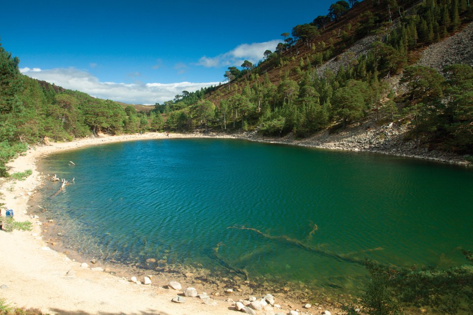 a lake surrounded by trees and rocks on a sunny day