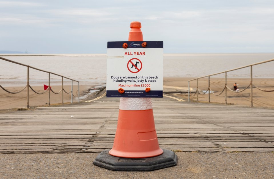 a sign that says dogs are banned on the beach