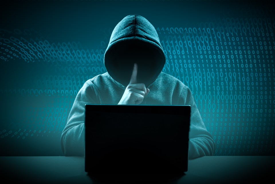 a person in a hoodie sitting in front of a laptop