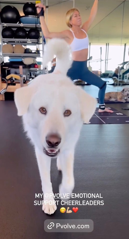 a white dog standing next to a woman in a yoga pose
