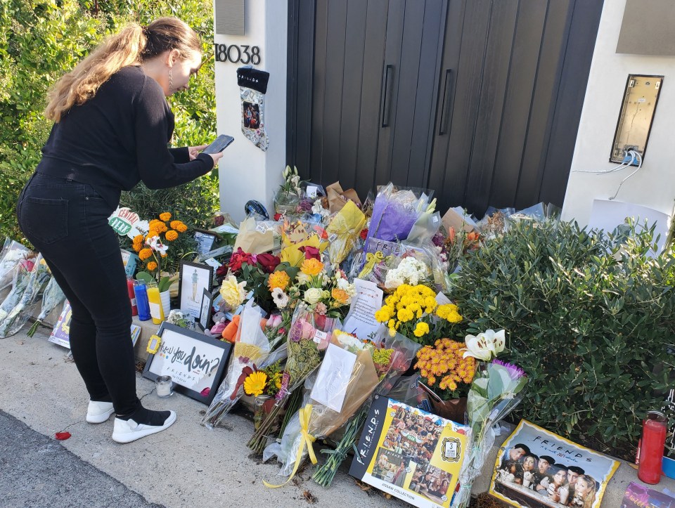 a woman takes a picture of flowers and a friends poster