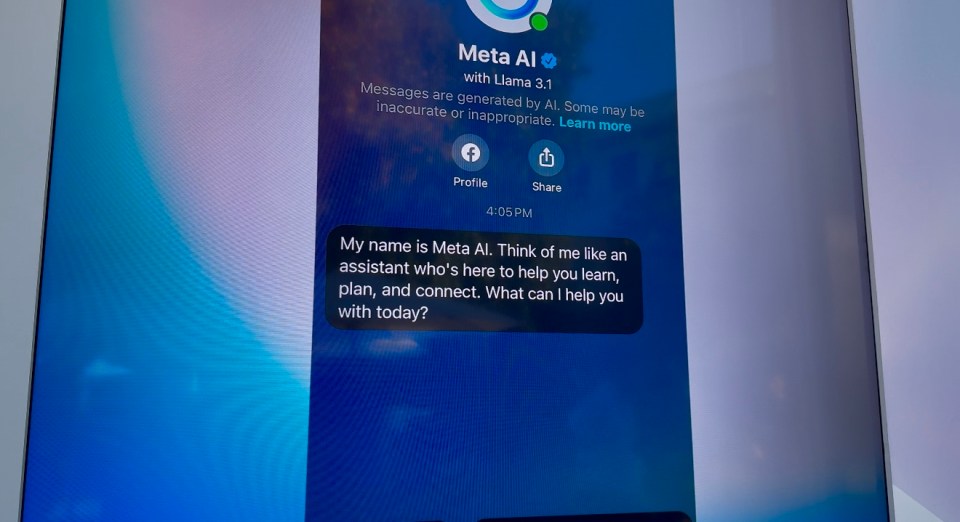 a computer screen displays a message from meta ai
