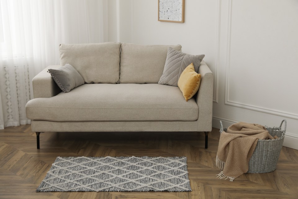 a living room with a couch and a rug on the floor