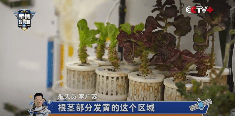 a man in a space suit is talking about plants on cctv