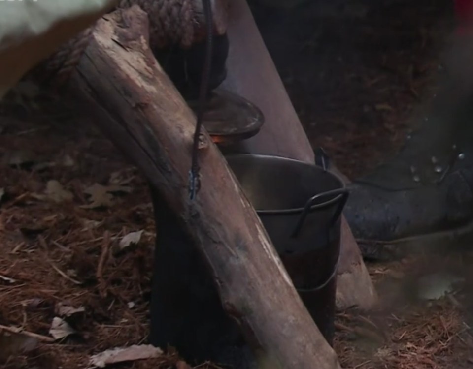 a bucket sits next to a log in the dirt