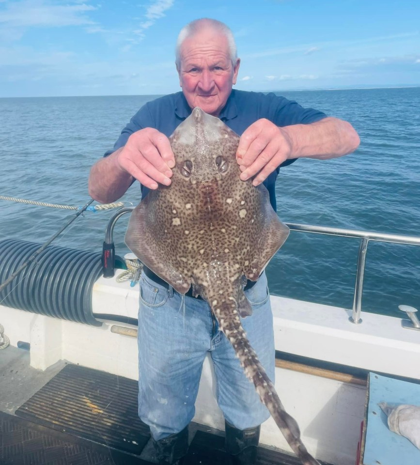 a man is holding a large fish on a boat