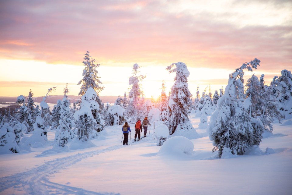 a group of people walking through a snowy forest