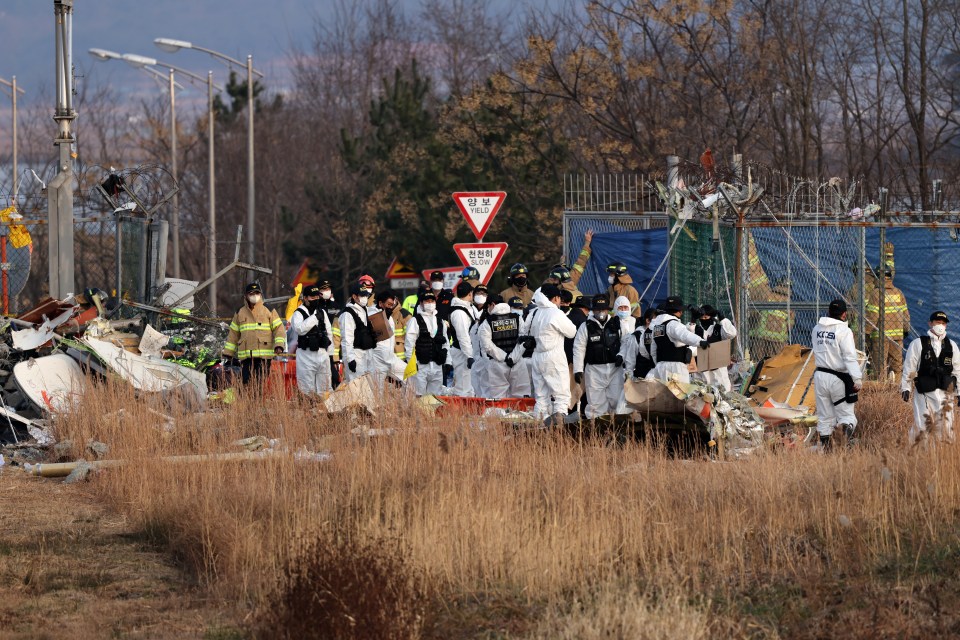 Emergency responders at the site of a plane crash.