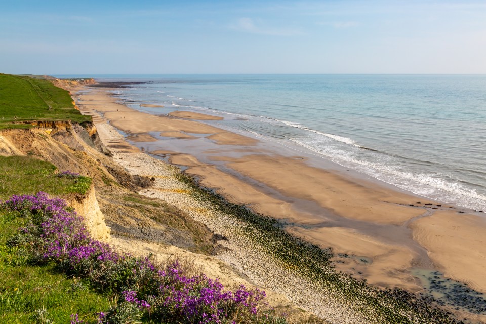 Wildflowers on a cliff overlooking Compton Bay beach on the Isle of Wight.