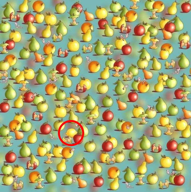 Optical illusion: Can you spot the hidden lemon?