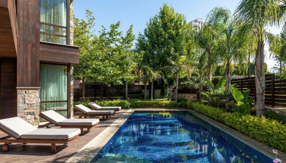 Luxury hotel pool and lounge area with palm trees.