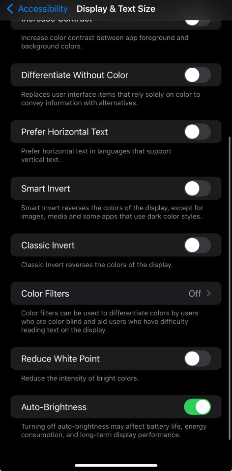 iPhone accessibility settings.