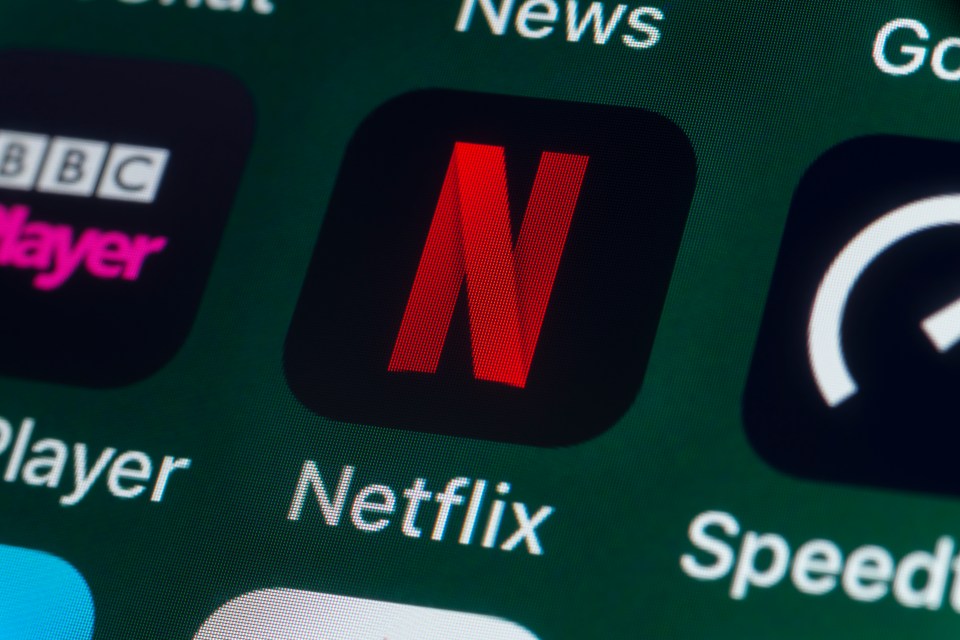 Close-up of the Netflix app icon on an iPhone screen.