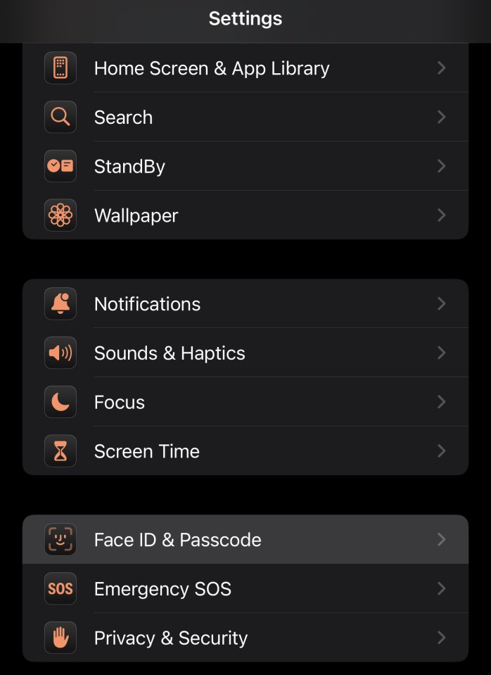 iPhone settings menu.