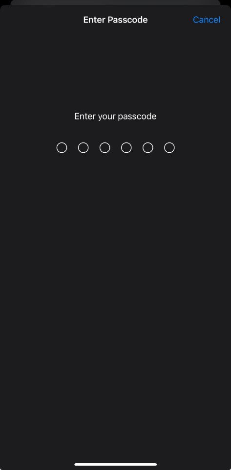 iPhone passcode entry screen.