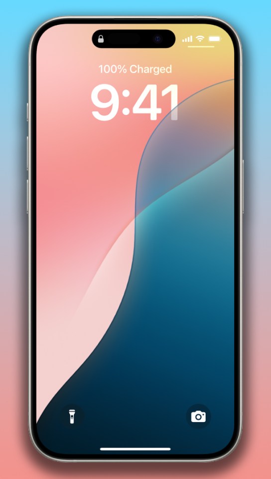 iPhone lock screen showing 9:41 and 100% charged.