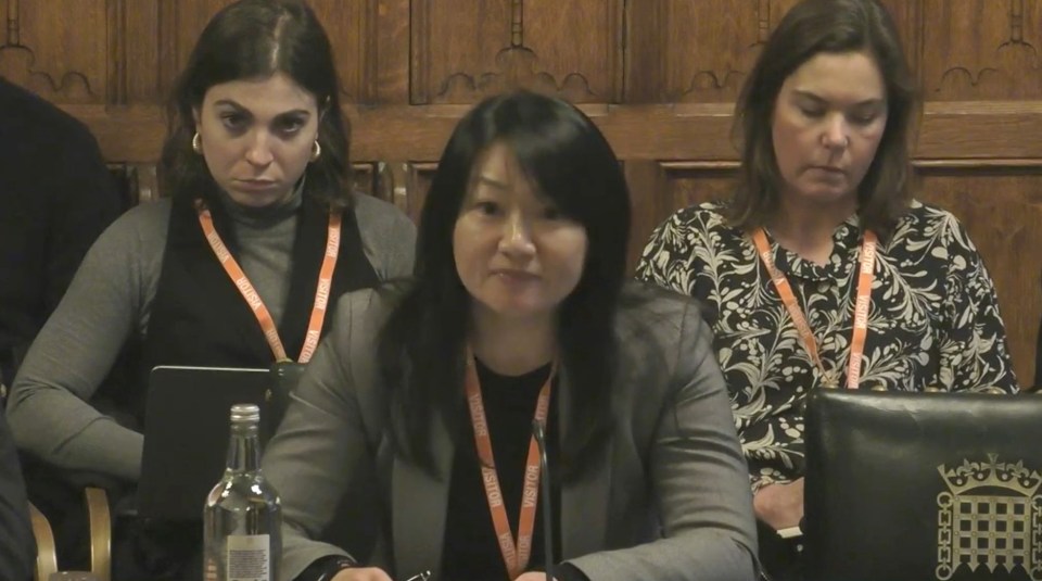 Yinan Zhu, Shein's general counsel, testifying before the UK Parliament's Business and Trade Select Committee.