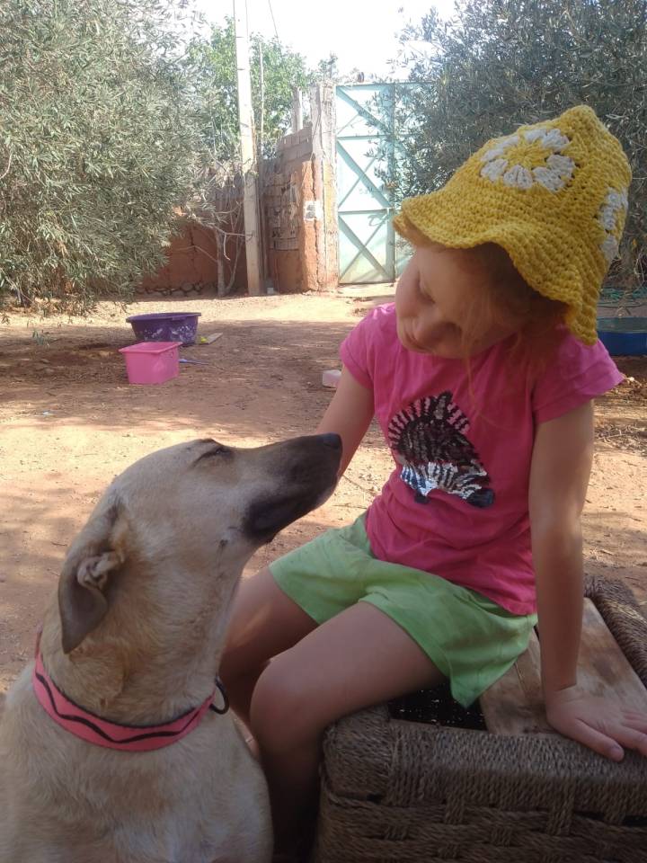 Girl petting a tan dog in Morocco.