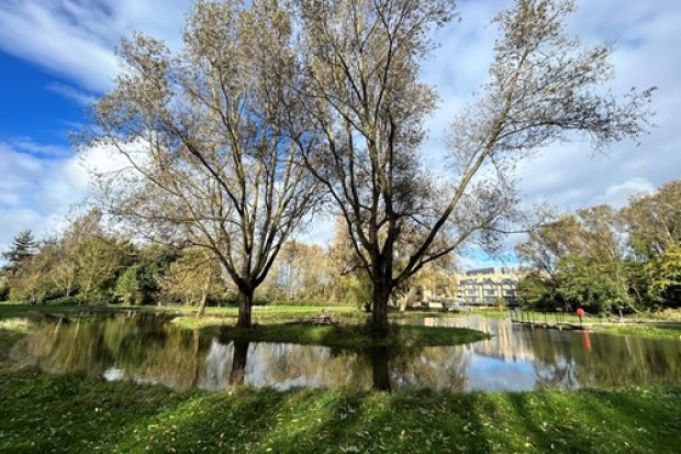 Pond and trees in a park.