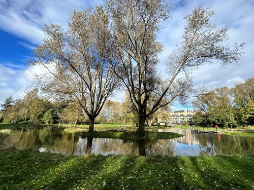 Pond and trees in a park.