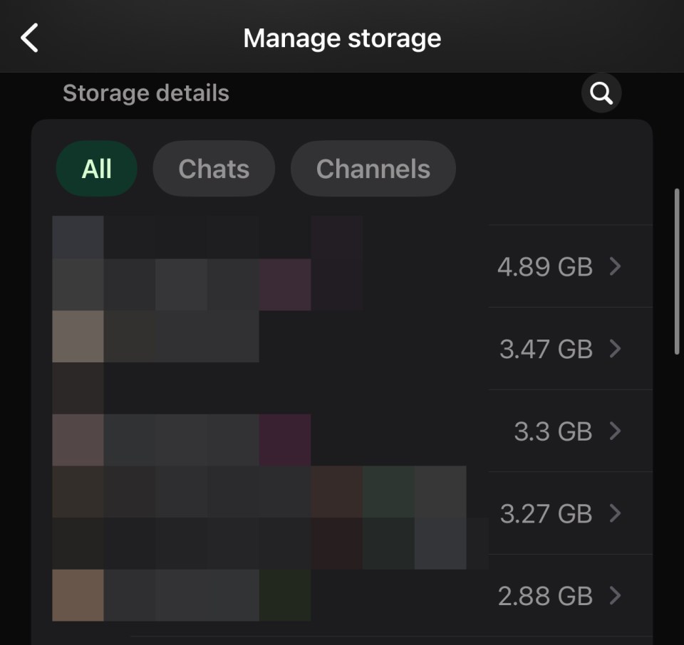 WhatsApp storage details showing usage by chats and channels.