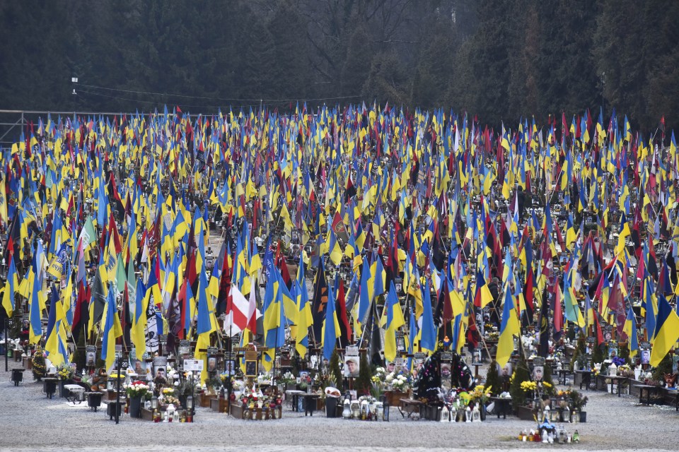 Numerous flags at a cemetery memorial for fallen soldiers.
