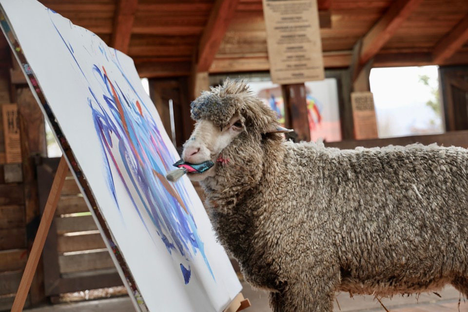 A sheep painting on a canvas.