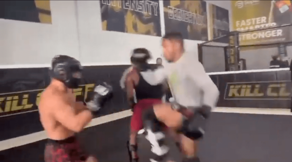 Three martial artists sparring in a gym.