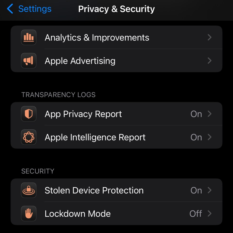 Screenshot of iPhone privacy and security settings.