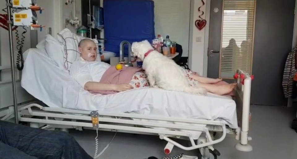 A young woman with cancer in a hospital bed with her dog.