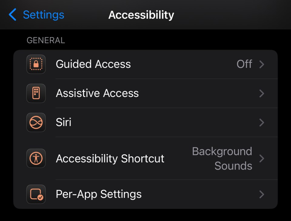 iPhone accessibility settings menu.
