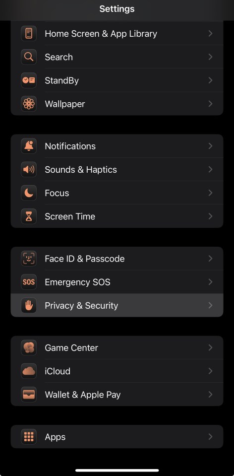 iPhone settings menu.