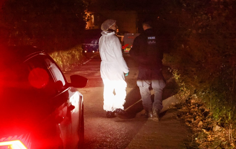 Police officers at a crime scene at night.