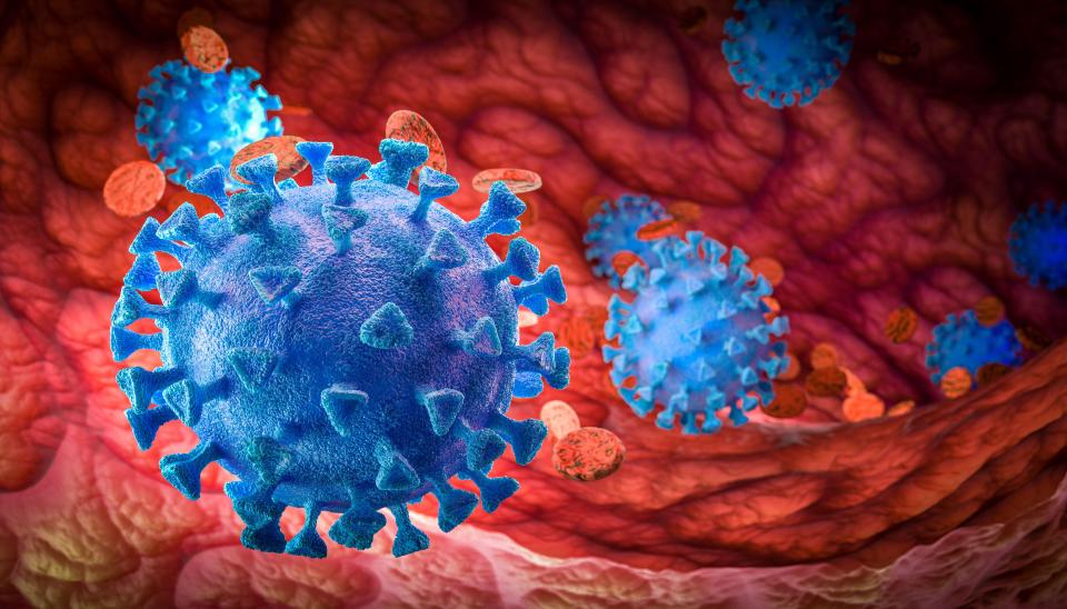 3D render of coronaviruses in a blood vessel.