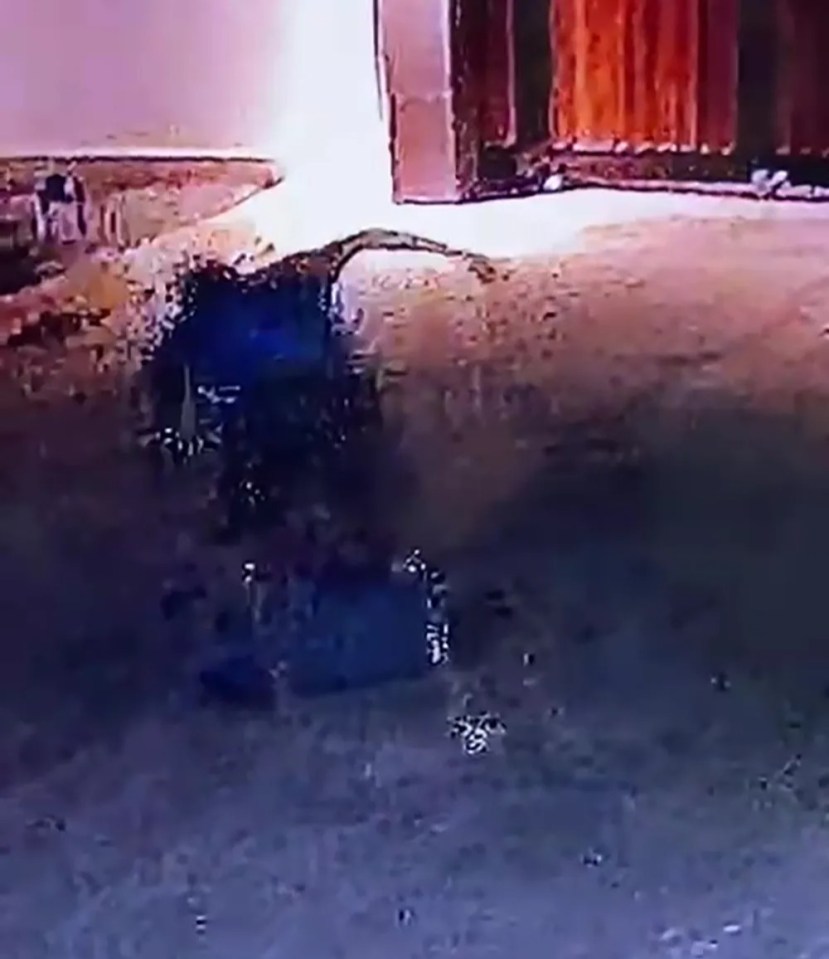 CCTV footage of an assault.
