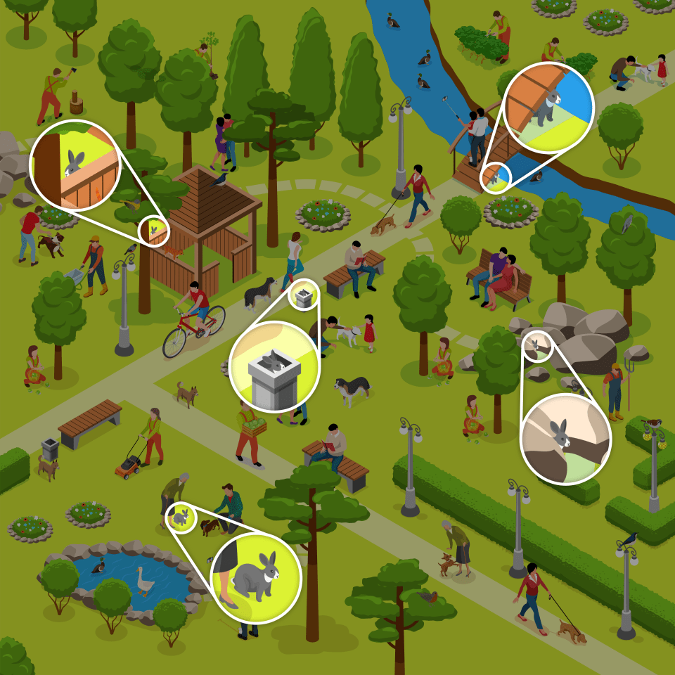Illustration of a park scene with hidden rabbits.