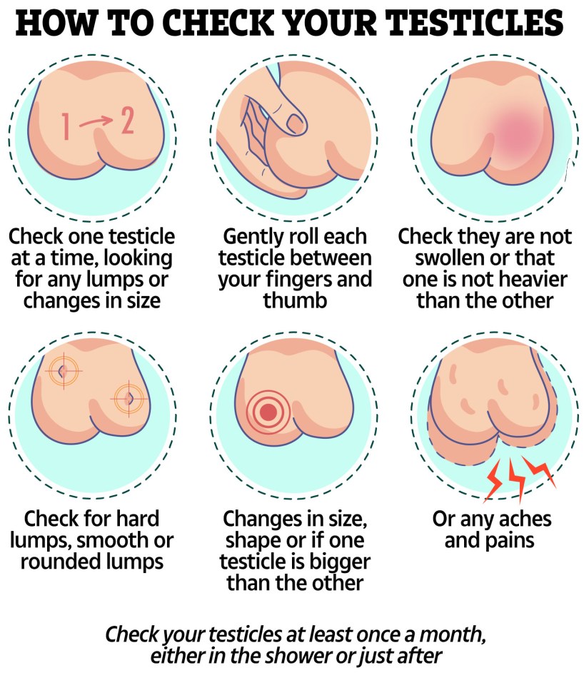 Illustration showing how to check testicles for lumps, swelling, or pain.