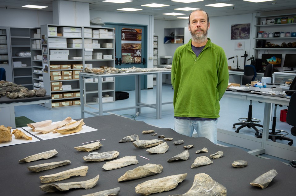 A man stands in a laboratory with various artifacts laid out on a table.