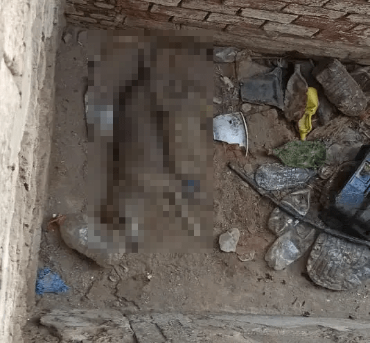 Photo of a dead dog amidst trash.