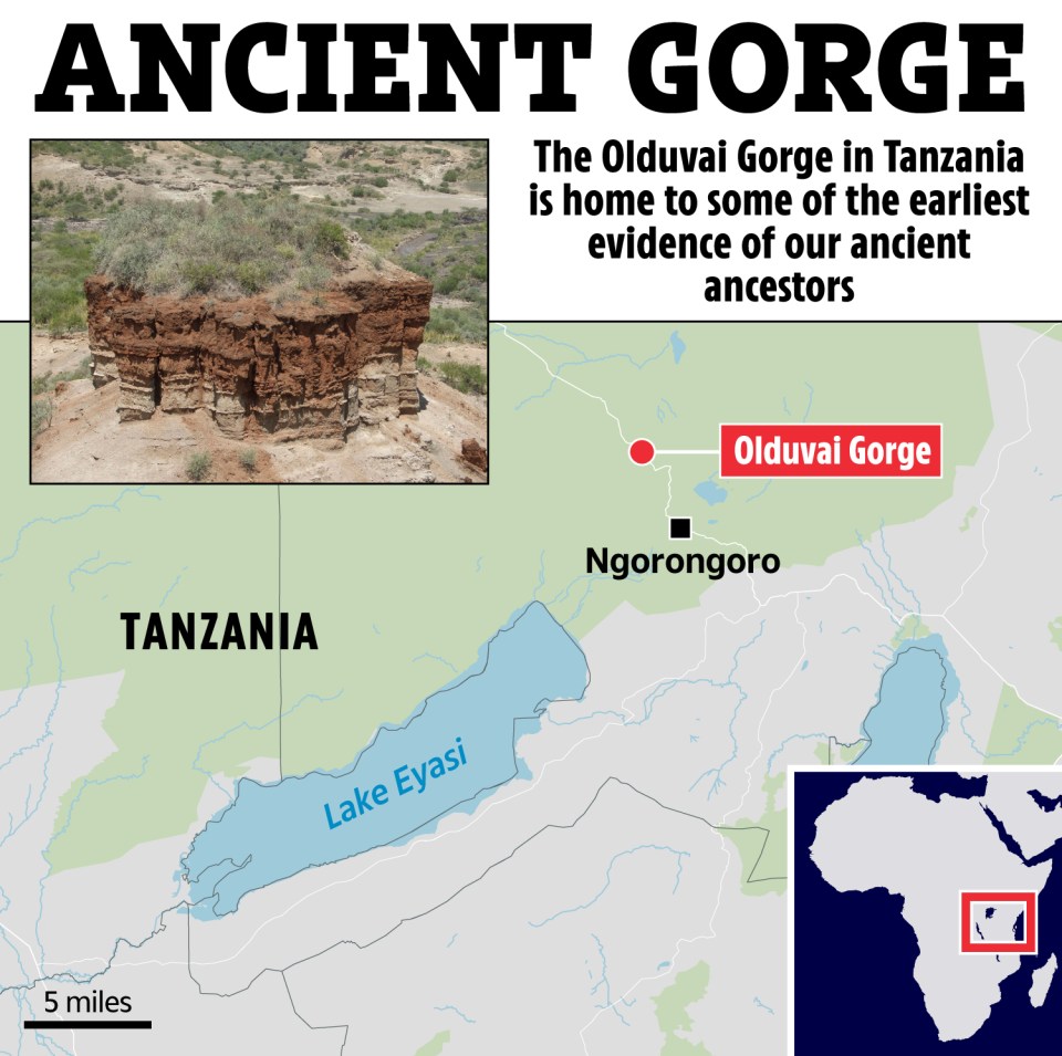 Map of Tanzania showing the Olduvai Gorge, location of early human ancestor evidence.