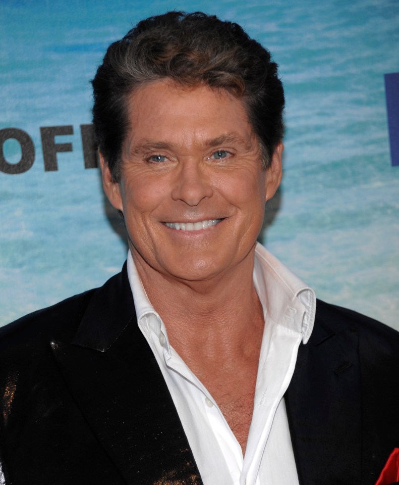 David Hasselhoff at the Comedy Central Roast of David Hasselhoff.