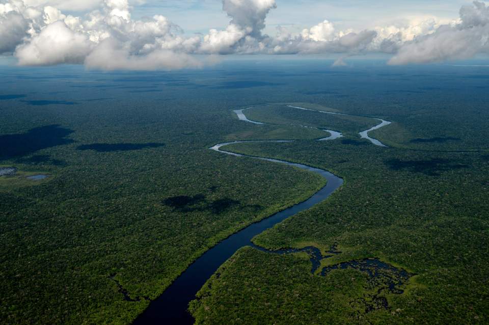 Aerial view of the Amazon rainforest with a river.