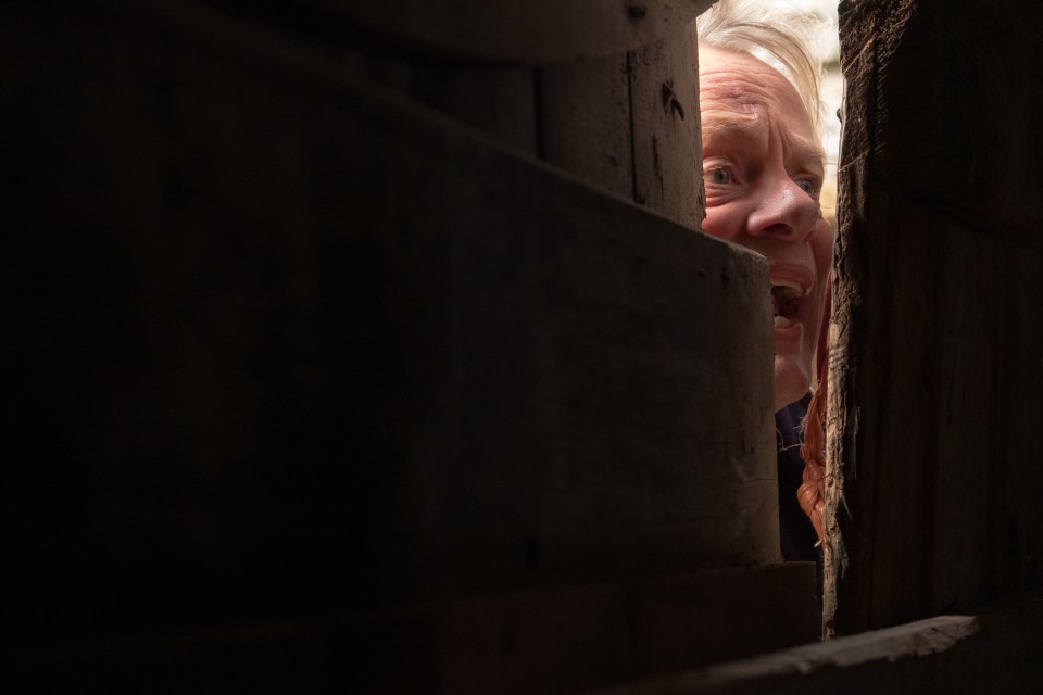 A man's face peering through a crack in a wooden wall.