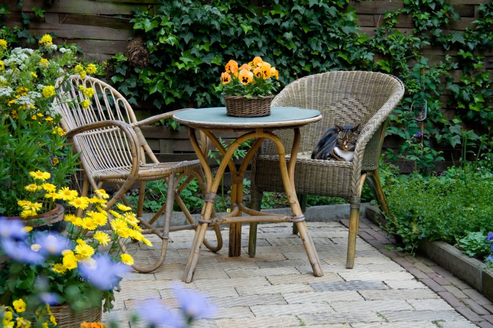 Cat resting in wicker chair on patio.
