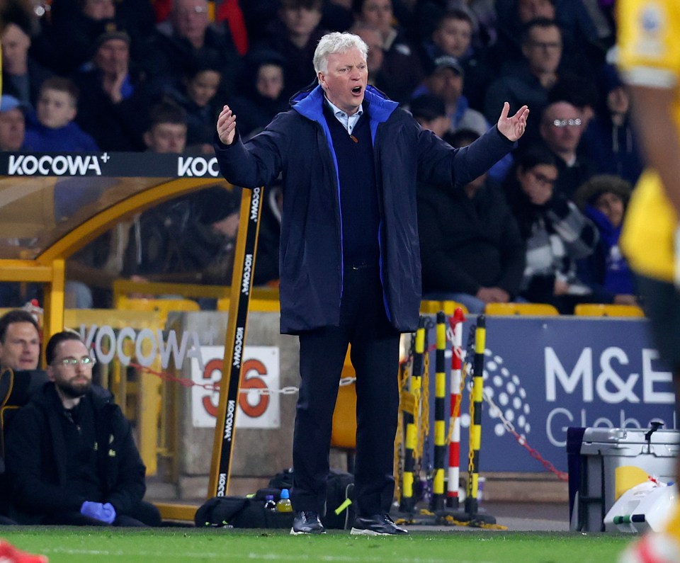 David Moyes, Everton manager, on the sidelines during a match.
