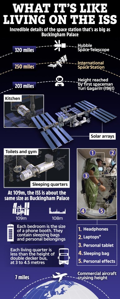 Illustration of the International Space Station compared to Buckingham Palace, showing its size, features, and astronaut living quarters.