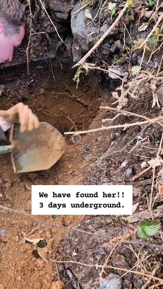 A terrier is rescued from underground after three days.