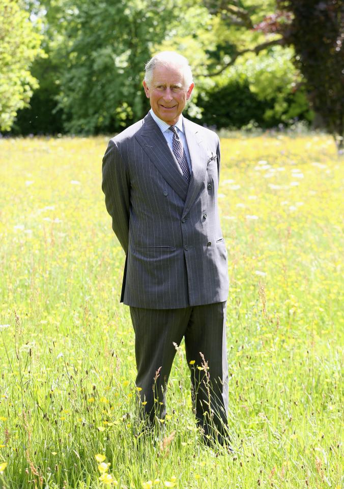 Prince Charles standing in a field of wildflowers.